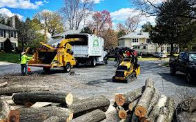 How Our Tree Care Process Works  in Wilderness Rim, WA